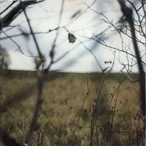 The cycle of days and seasons